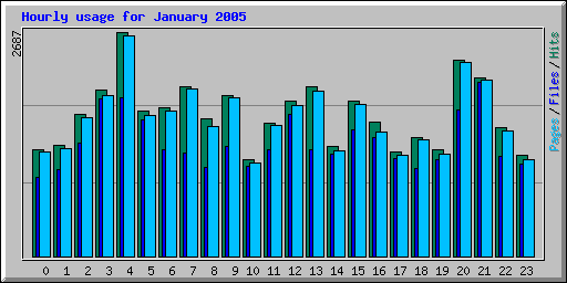 Hourly usage for January 2005